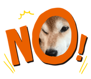 857752299