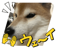 857752302