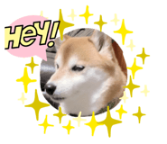 857752306