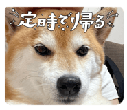 857752307