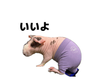857752378