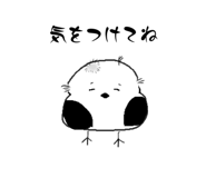 857753168