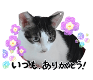 857754850