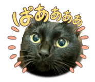 857754860