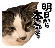 857754868