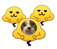 857754874
