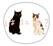 857754876