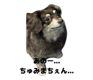 857757906