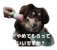 857757908