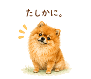 857758371