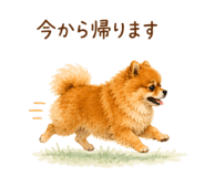 857758372