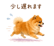 857758374