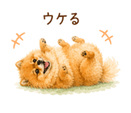 857758376