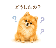 857758387