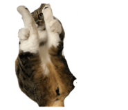 857758642