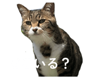 857758646