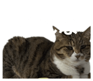 857758648