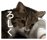 857758650