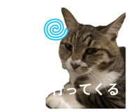 857758651