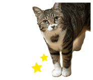 857758652