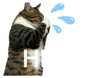 857758654