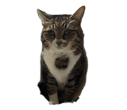 857758656