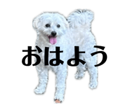 857758826