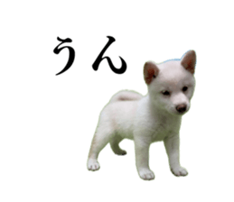 857758863