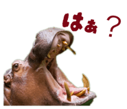 857759057