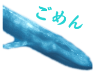 857759059