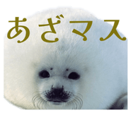 857759063