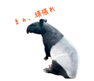 857759064