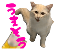 857759838