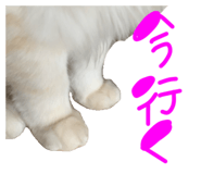857759840