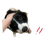 857759891