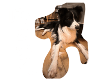 857759893