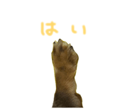 857760123