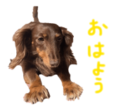 857760125