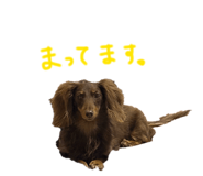 857760127