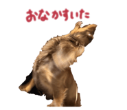857760130