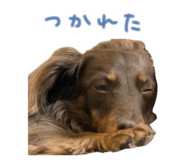 857760134