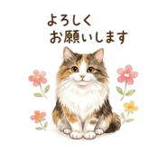 857760246