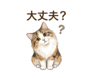 857760266