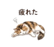 857760270