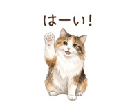 857760276