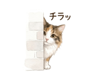 857760278