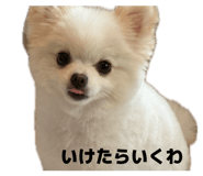 857760285
