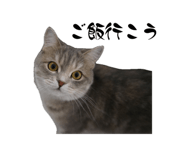 857760389