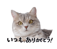 857760400
