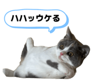 857760441